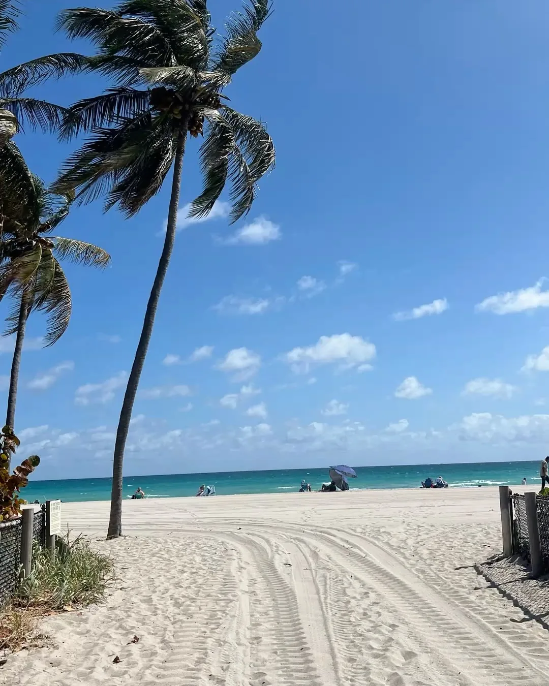 Playa con palmeras en el sur de Florida